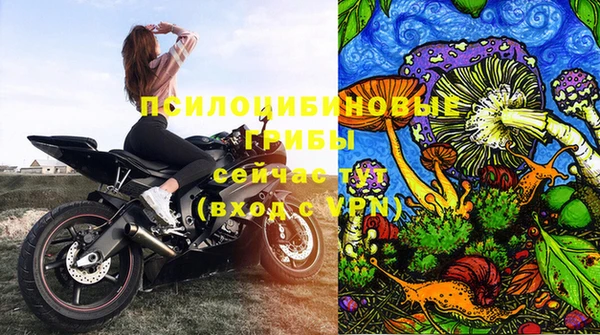 прущие крисы Арсеньев