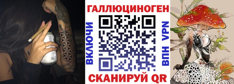 Псилоцибиновые грибы Psilocybine cubensis  Купить  Грязовец 